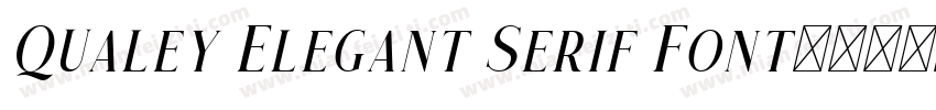 Qualey Elegant Serif Font字体转换